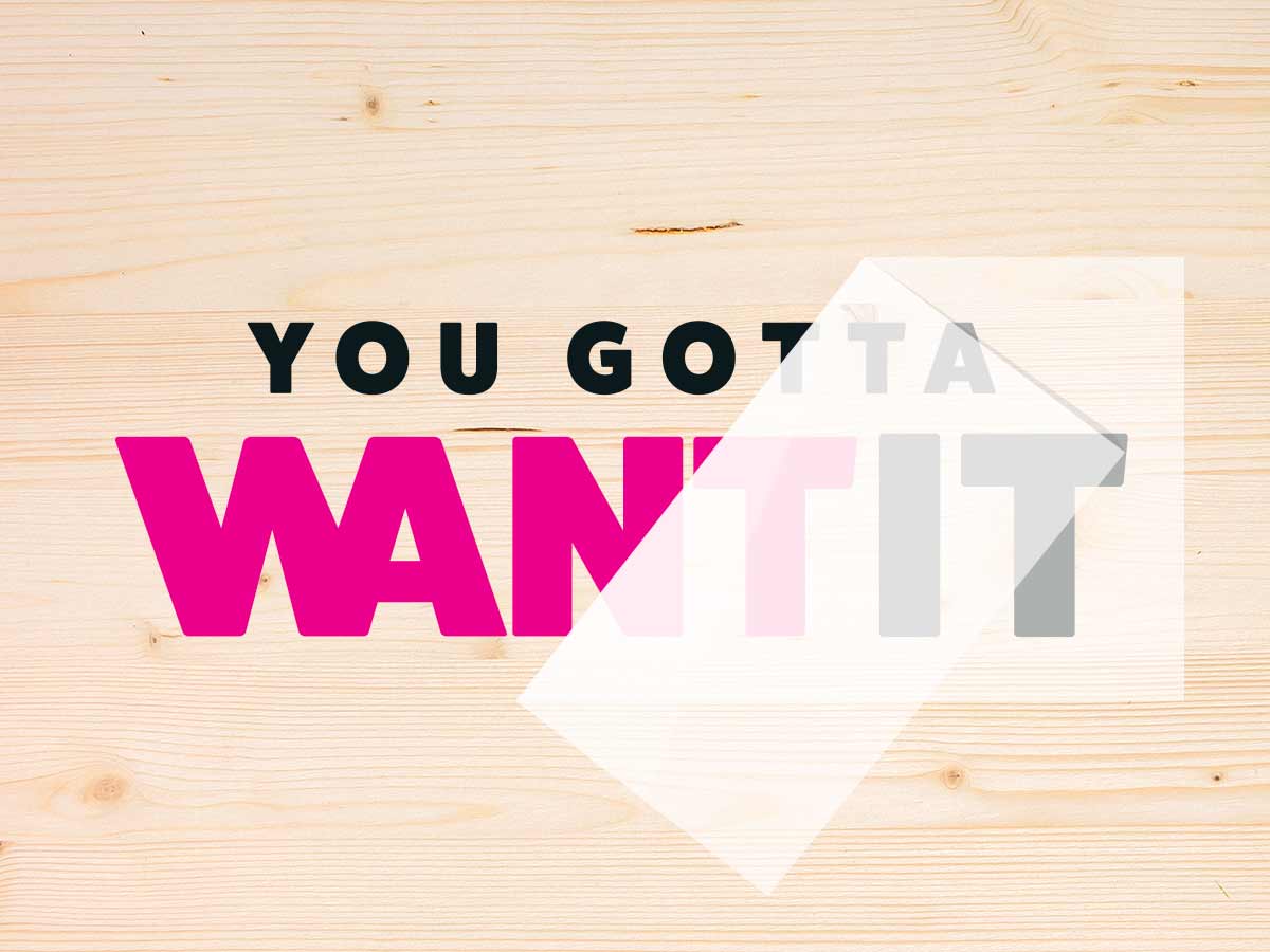 Custom Transfer Stickers | Full Color Vinyl Lettering Decals - Want ...